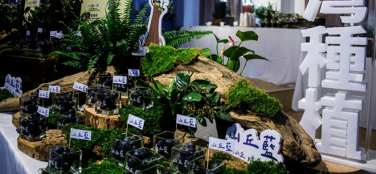 山丘藍品牌上市發表會