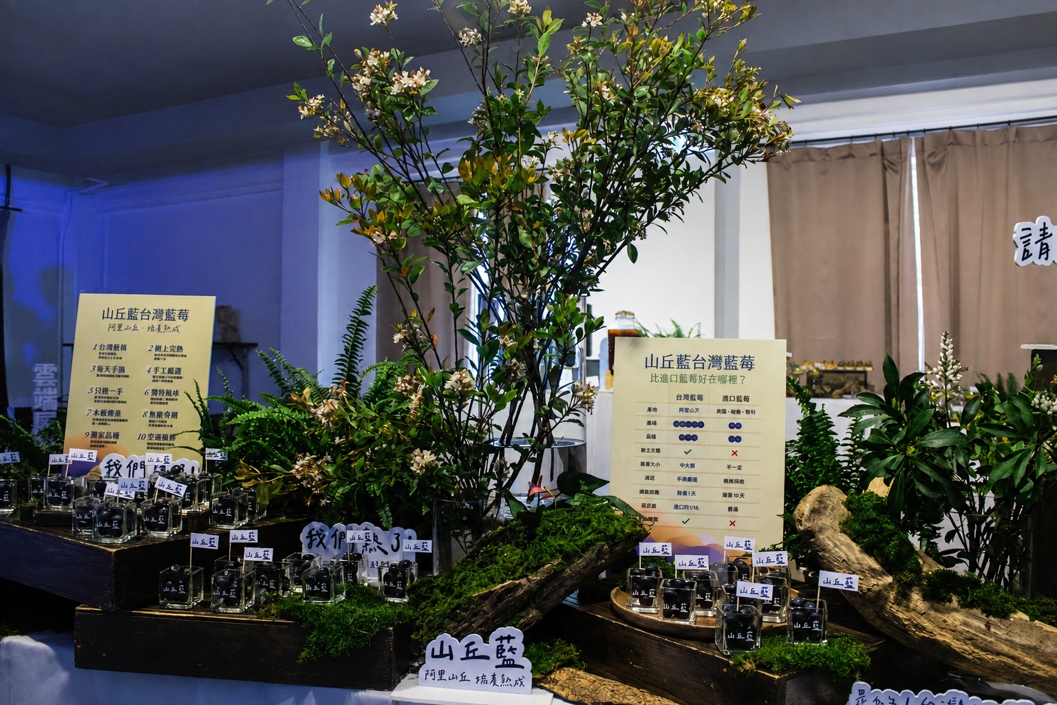 品牌核心精神融入宴飲:打造視覺與味覺雙重沉浸的新品試吃體驗
